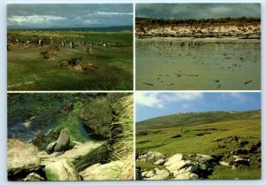 FALKLAND ISLANDS ~ Multi View SEAL & PENGUINS 4x6 Postcard