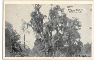 Local Scene SLIDELL, LA Louisiana Cusimano's Pharmacy 1948 Vintage Postcard