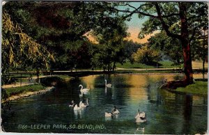 Postcard ANIMAL SCENE South Bend Indiana IN AM6613
