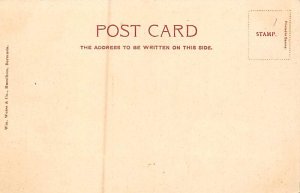 Royal Palms From Paget Bermuda Postcard