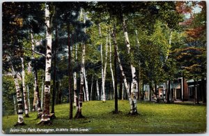 VINTAGE POSTCARD WHITE BIRCH GROVE IN QUEEN CITY PARK AT BURLINGTON VERMONT