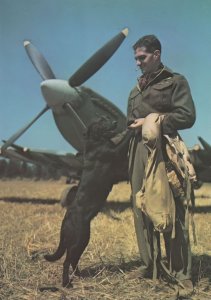 Wing Commander Johnnie Johnson and Sally RAF Spitfire Postcard