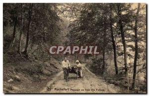 Old Postcard Rochefort Landscape Wood of Falizes