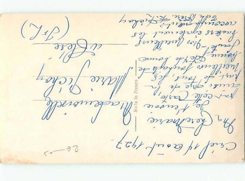 tinted rppc c1910 BEAUTIFUL FLOWERS AC9151