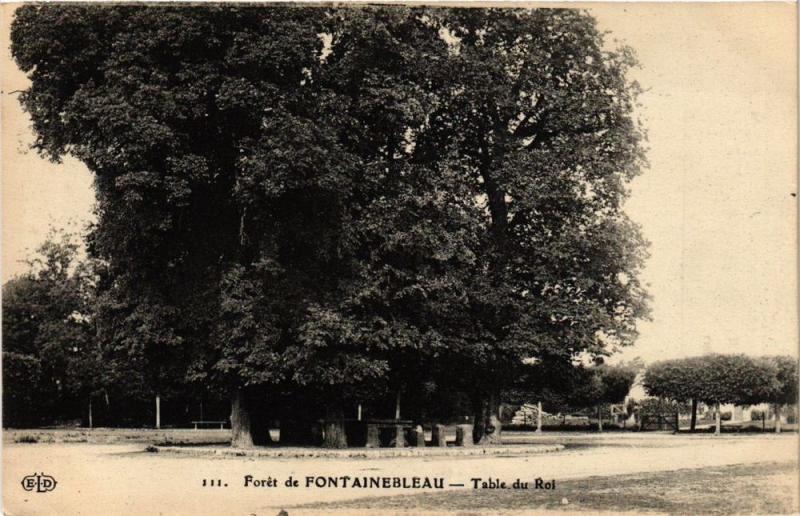 CPA Foret de FONTAINEBLEAU-Table du Roi (248731)