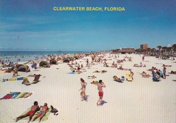 Florida Clearwater Beach Sun Bathers