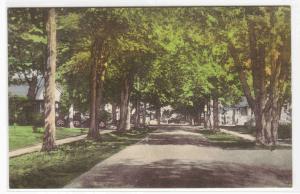 Maple Avenue Street Scene Doylestown Pennsylvania handcolored postcard