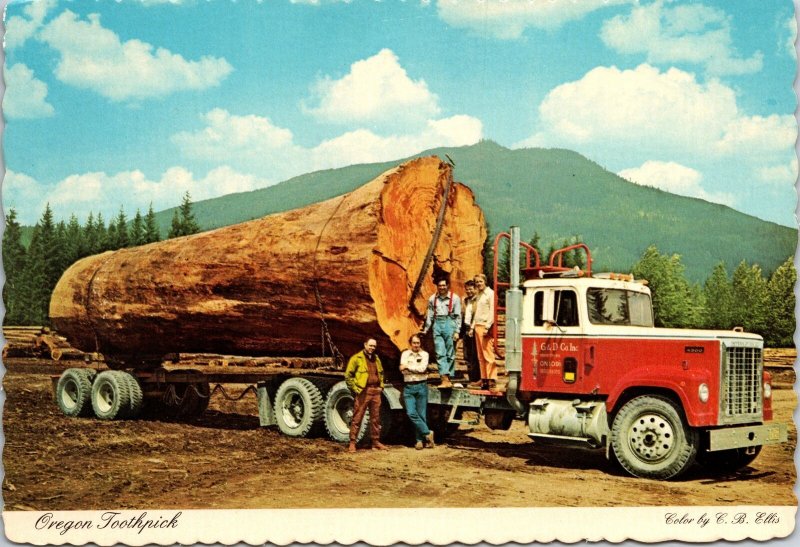 VINTAGE CONTINENTAL SIZE POSTCARD OREGON TOOTHPICK SPECTACULAR FIR LOG