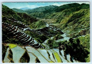 PHILIPPINES ~Agriculture BANAUE RICE TERRACES Wonder of the World 4x6 Postcard