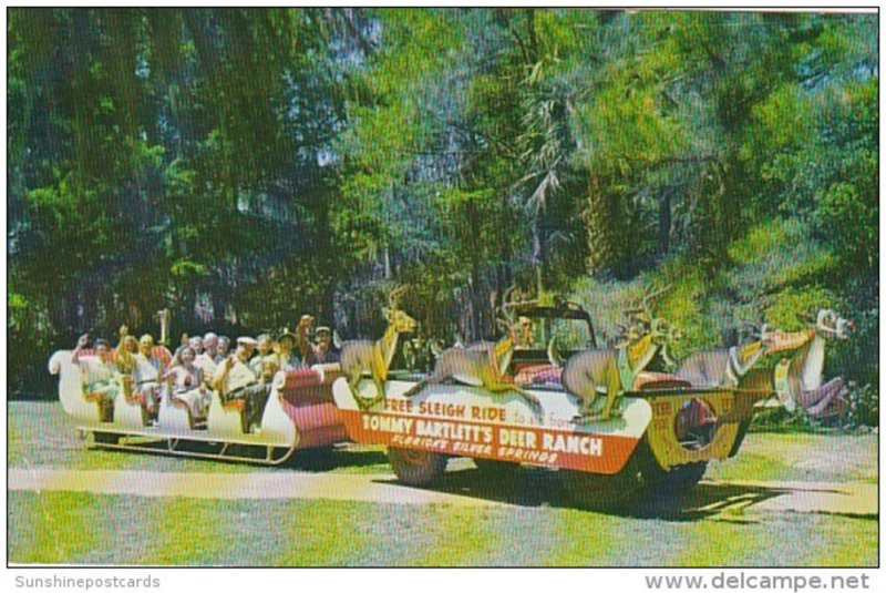 Florida Silver Springs Sleigh Riding Tommy Bartlett's Deer Ranch 1958