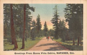 NAPANEE ONTARIO CANADA~BUENA VISTA CABINS-1950 GREETINGS FROM POSTCARD