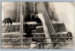 c1940's Bear Pits Cheyenne Mt. Zoo Animals Sanborn RPPC Photo Vintage Postcard