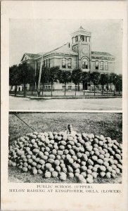 Kingfisher OK Public School Melon Raising Melons Farming Unused Postcard G12