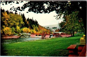 Postcard SWIMMING POOL SCENE Corner Brook Newfoundland NL AL5777