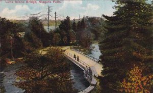New York Niagara Falls Luna Island Bridge 1914