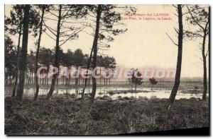Postcard Old Landes Les Pins La Lagune