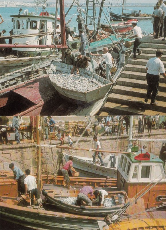 Algarve Sardine Fishing Loading 2x Portugal Postcard s