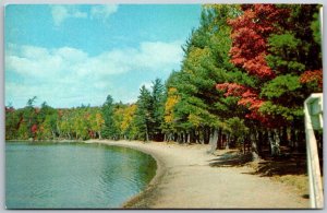 Vtg Pocahontas Arkansas AR Serenity of Nature Lake View 1950s Vacation Postcard