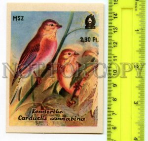 500291 HUNGARY Bird Carduelis Cannabina Vintage match label