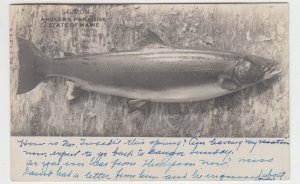 P2422, 1909 postcard salmon anglers paradise state of maine