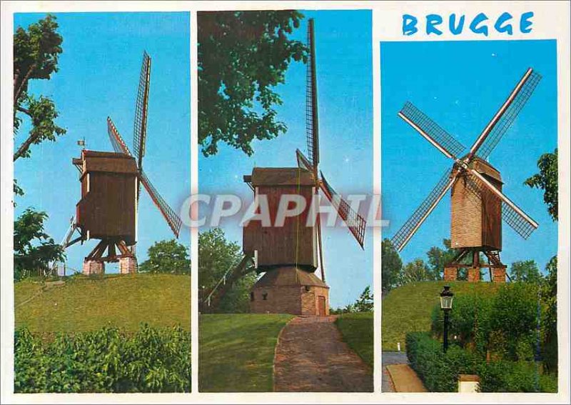 Modern Postcard Brugge St Janshuusmolen Nieuwe Papegaai Good Chiere Mill