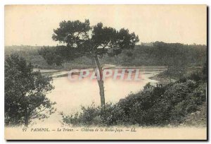Old Postcard Paimpol Trieux The Chateau de la Roche Jagu