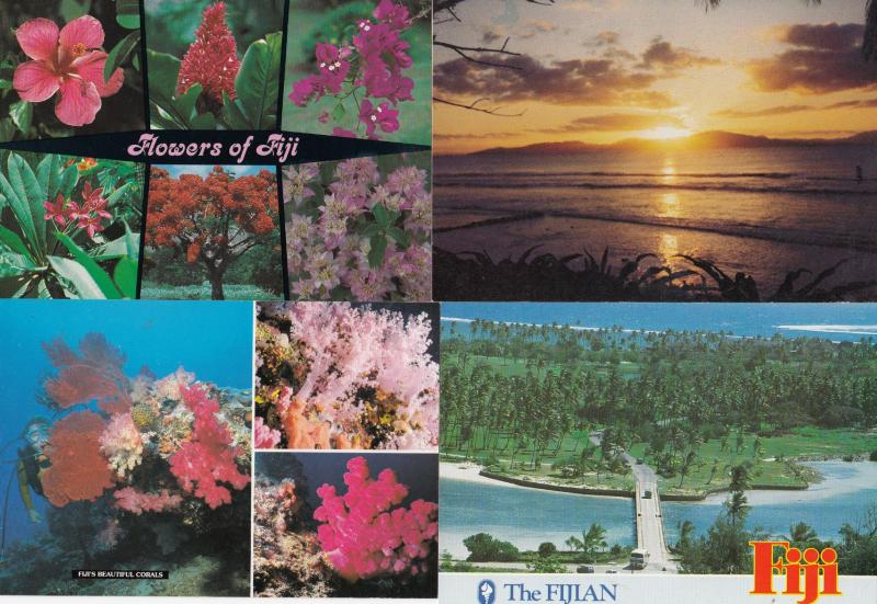 Coral Flowers of Fiji Sunset 4x Fijian Postcard s