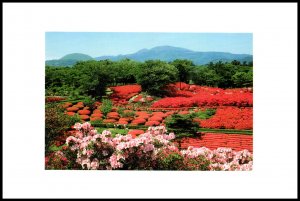 Scene,Japan