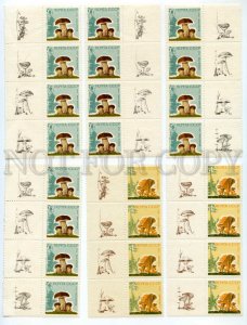 501202 USSR 1964 year block four stamps mushrooms w/ MARGINS