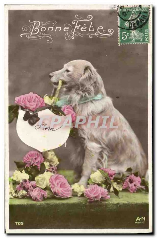 Old Postcard Dog Dogs Bonne fete