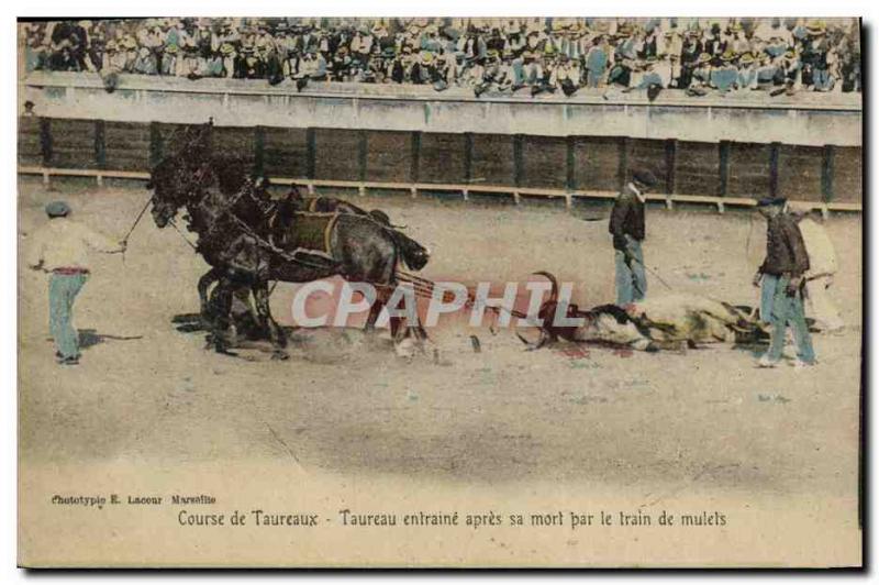 Vintage Postcard Corrida Bullfight Taureau involves after it