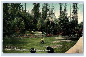 Vintage Scene In Point Defiance Park, Tacoma, Wash. Postcard F118E