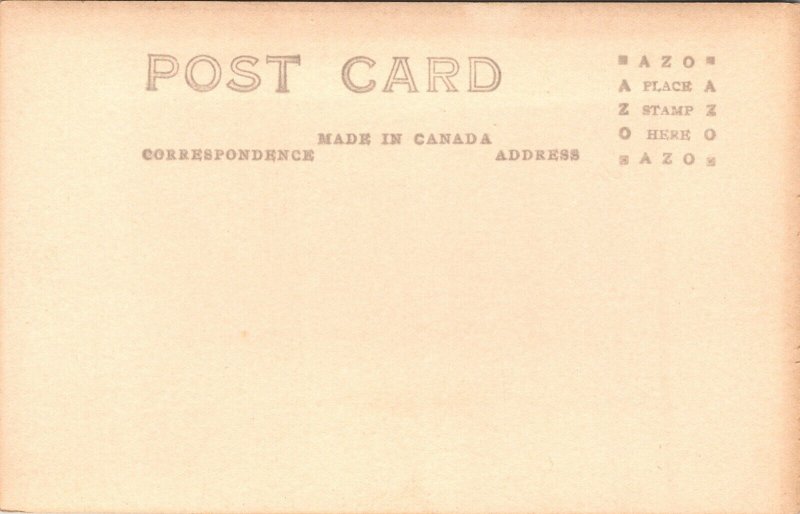 RPPC White Pass & Yukon Route Railway Sawtooth Range Alaska UNP Postcard L9