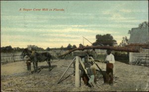 Black Americana Sugar Cane Mill in Florida c1910 Postcard
