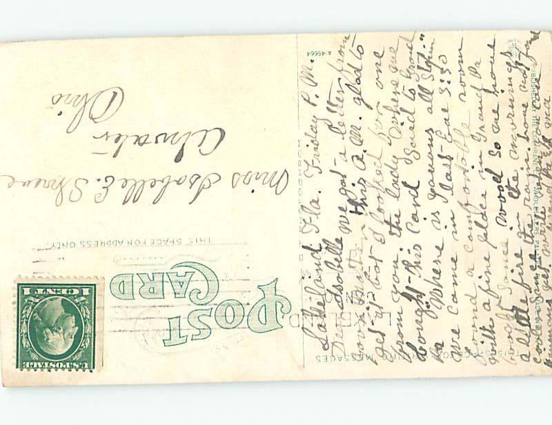 Divided-Back CABBAGE PALMETTO Postmarked Lakeland Florida FL HJ7199