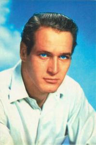 Paul Newman Actor in the 1950s Modern Postcard #2