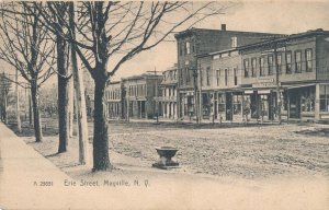 Hardware Store on Erie Street - Mayville, Chautauqua County NY, New York - UDB