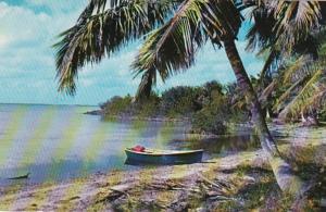 Florida Keys Tropical Beach Scene