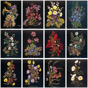 Set 12 artist postcards Wild Flowers by Sylvia MacGregor