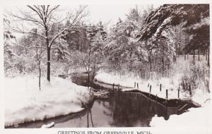 Michigan Greetings From Greenville Real Photo