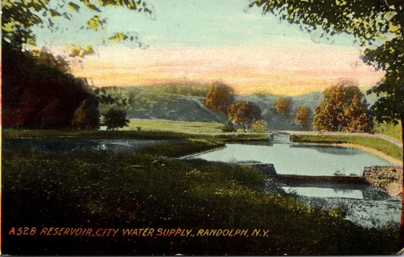 New York Randolph Reservoir City Water Supply 1911