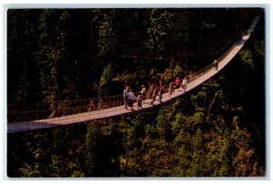 c1950's Capilano Suspension Bridge North Vancouver Canada Vintage Postcard 