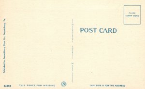 Vintage Postcard 1930's Indian Profile Rock Mt. Tammany Delaware Water Gap PA