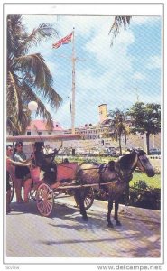 A Carriage Preparing To Take Passengers On A Sightseeing Tour, Nassau, Bahama...