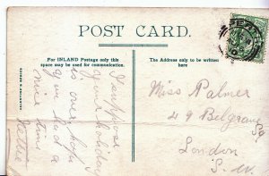 Genealogy Postcard - Family History - Palmer - Belgrave Square - London   A1528