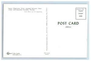 Vintage Edgewater Drive Dunedin, Florida. Postcard P132E