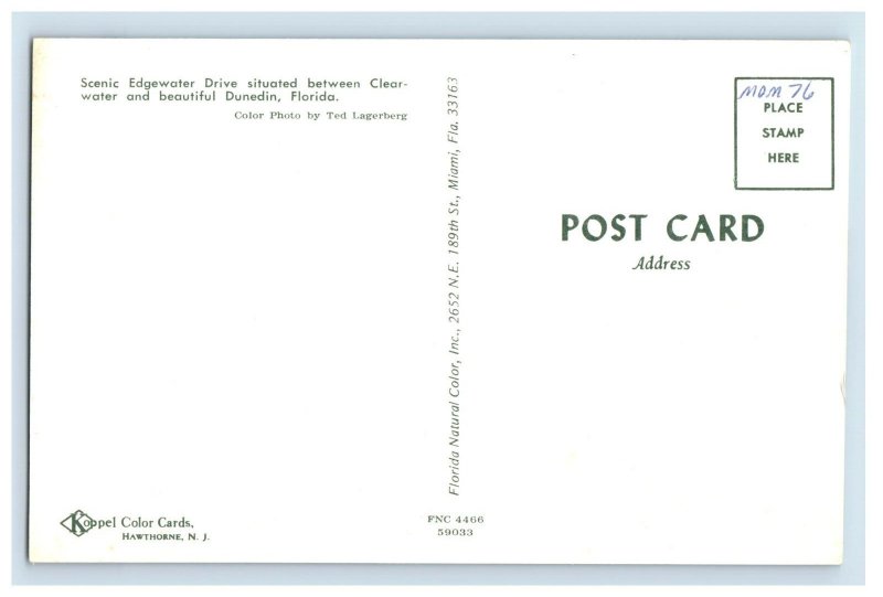 Vintage Edgewater Drive Dunedin, Florida. Postcard P132E