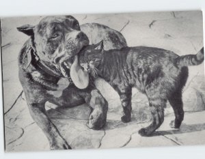 Postcard Dog Licking a Cat