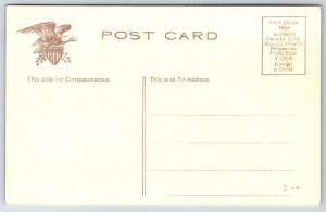 St Paul Minnesota~Lumber Log Float On The Mississippi River~Bridge~c1910 IPCC