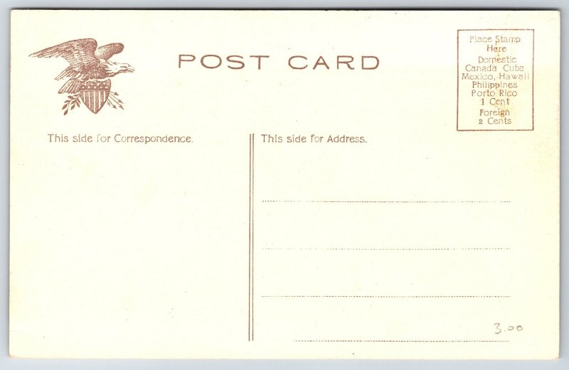 St Paul Minnesota~Lumber Log Float On The Mississippi River~Bridge~c1910 IPCC